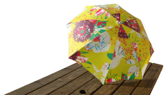 image du parapluie